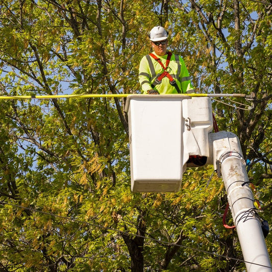 Database of all tree surgeons in the UK