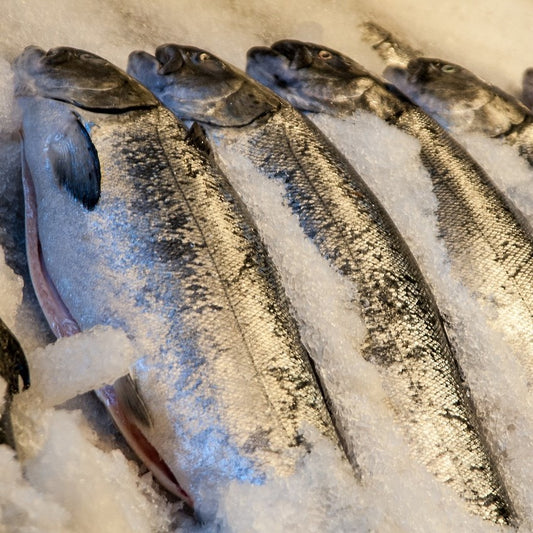 Contact data of all fishmongers in the UK