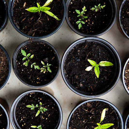Contact data of all garden centres in the UK